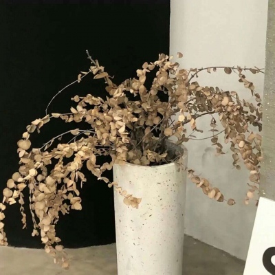 Furry圈经典作品赏析兽圈社群